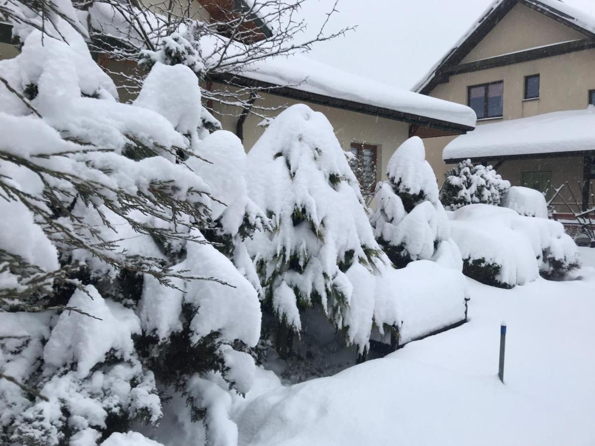 Apartamenty-Studio Noclegi Wczasy Wakacje Ferie - Pobyty Rodzinne Rabka-Zdrój Dış mekan fotoğraf