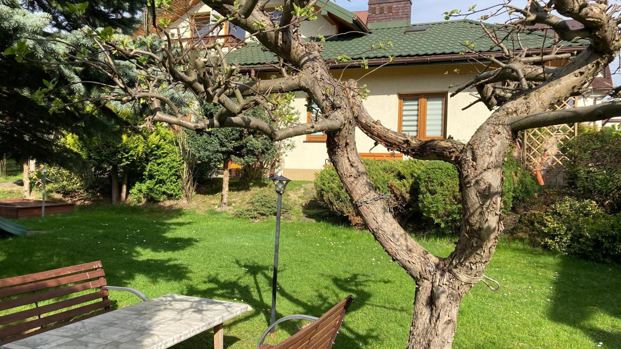 Apartamenty-Studio Noclegi Wczasy Wakacje Ferie - Pobyty Rodzinne Rabka-Zdrój Dış mekan fotoğraf
